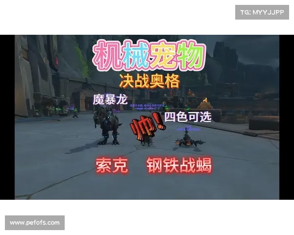 魔兽世界新手宠物升级攻略